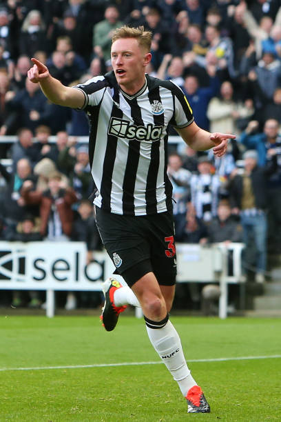 纽约尼克斯 纽约尼克斯